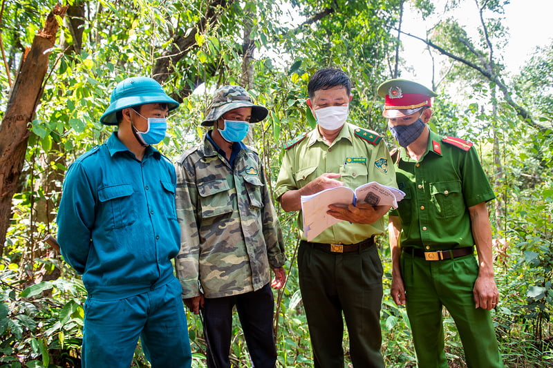 Quần áo bảo vệ rừng thường là màu xanh thiên thanh mát mẻ, dễ chịu