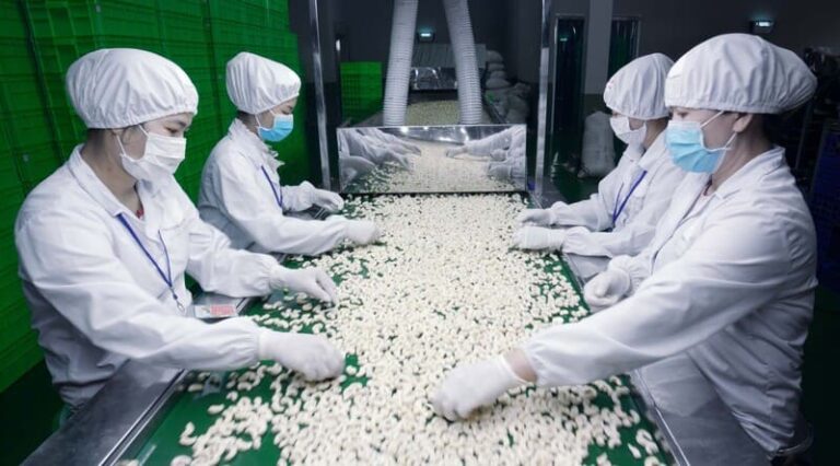 Ưu tiên may đồng phục cho ngành thực phẩm theo thiết kế thoải mái