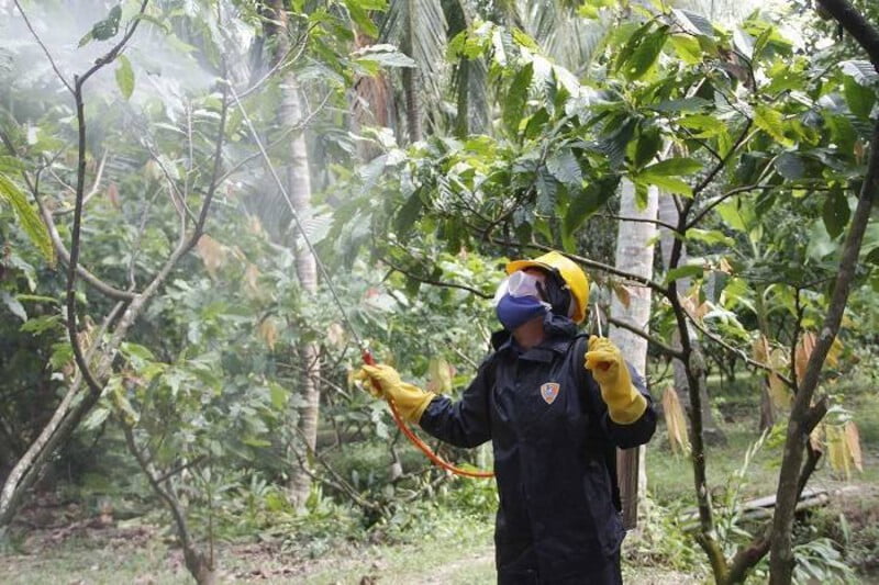 Kính bảo hộ phun thuốc trừ sâu thường đi kèm với bộ giữ tránh rơi ra khi làm việc