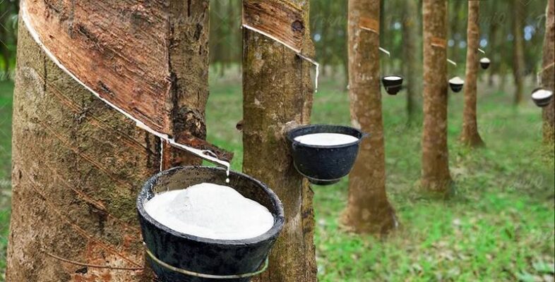 Cao su có khả năng chống cháy hiệu quả